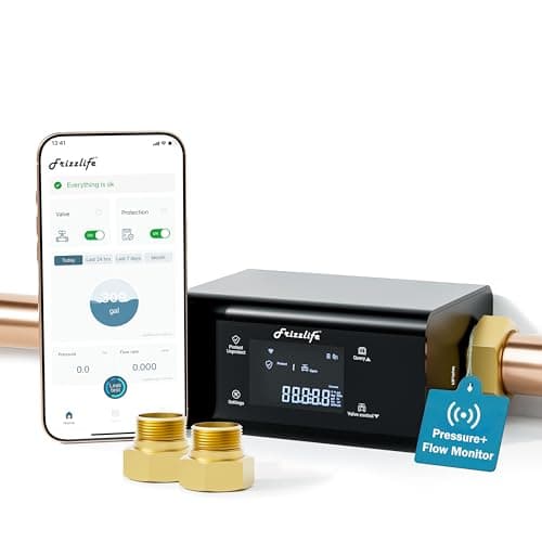 Frizzlife LP365 — Good Value per expert consensus
