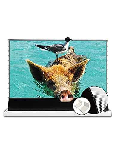 VIVIDSTORM S PRO Floor-Rising UST ALR 120-inch