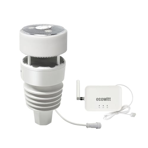 ECOWITT GW3001 Weather Station