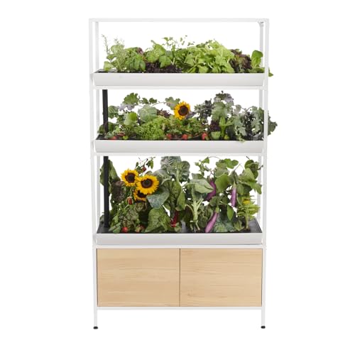 Rise Garden 3