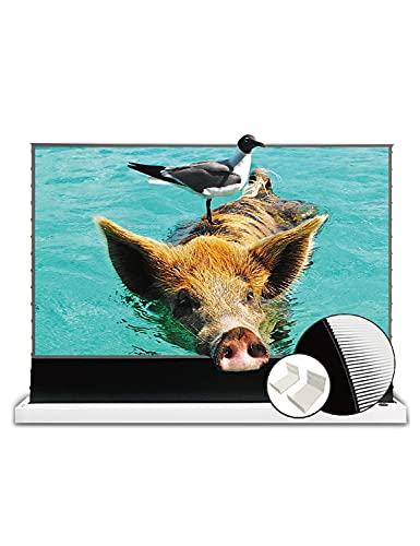 VIVIDSTORM S PRO Floor-Rising UST ALR 120-inch